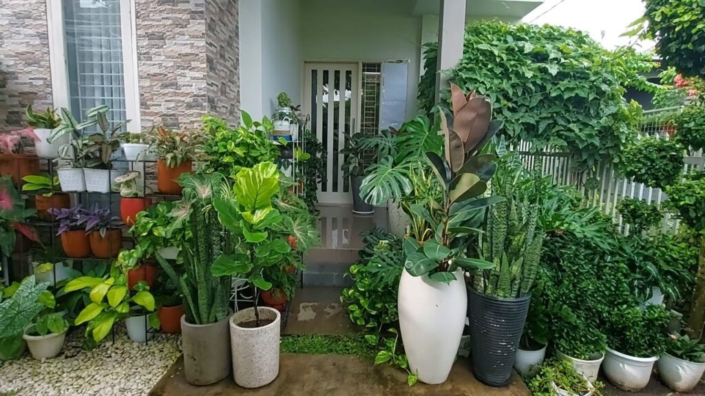 Dari Sebiji Benih ke Hutan Kecil: Kisah Pertumbuhan dan Harapan
