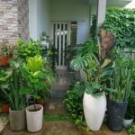 Dari Sebiji Benih ke Hutan Kecil: Kisah Pertumbuhan dan Harapan